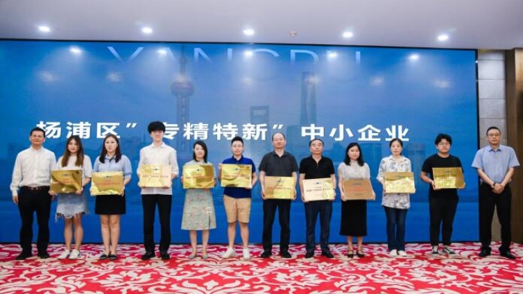 泽稷教育受邀出席上海市杨浦区“专精特新”企业荣誉授牌仪式