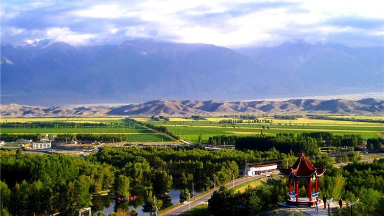 新疆维吾尔自治区2024年度面向部分高校选调招聘优秀大学毕业生公告